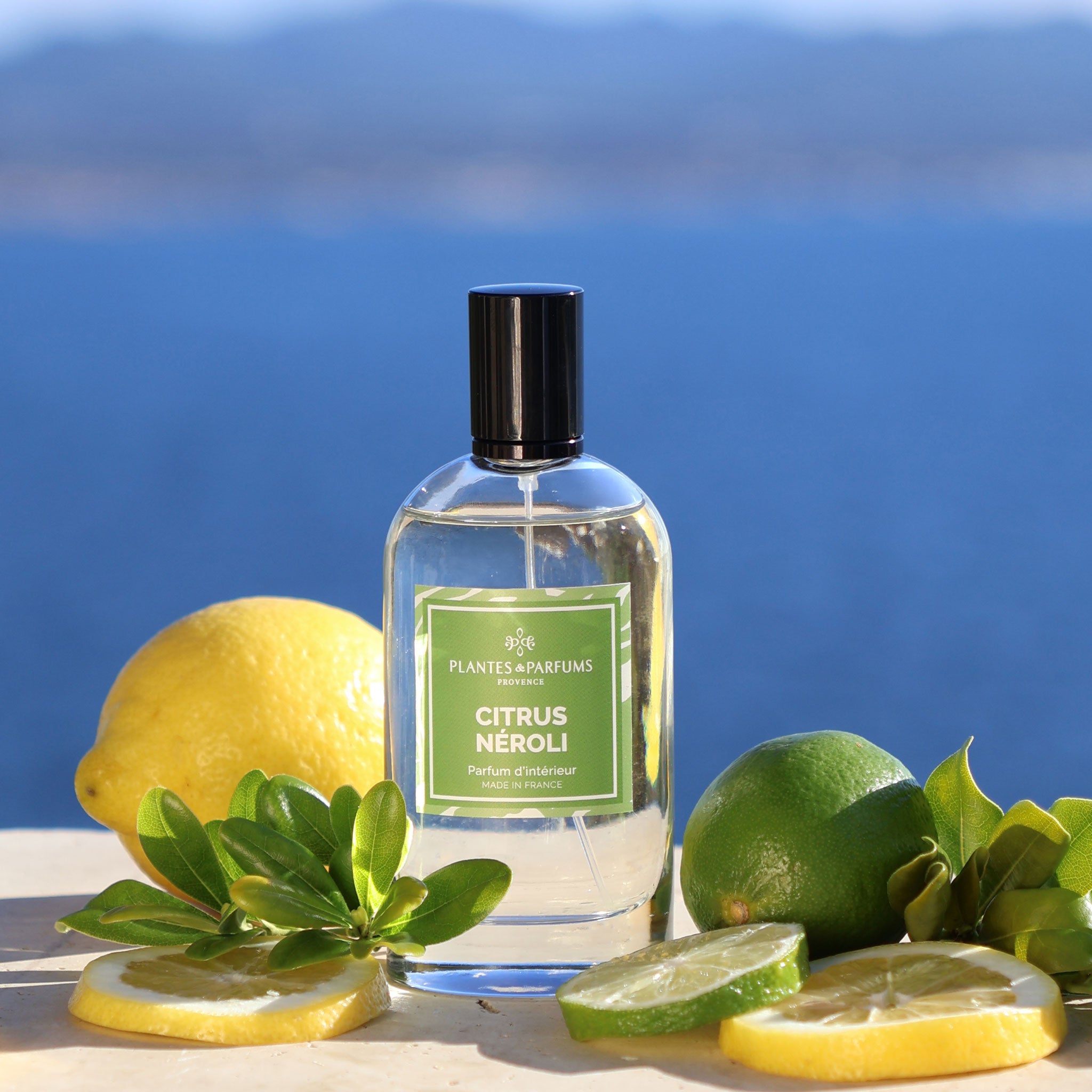 Parfum d'Intérieur 100ml Citrus Néroli