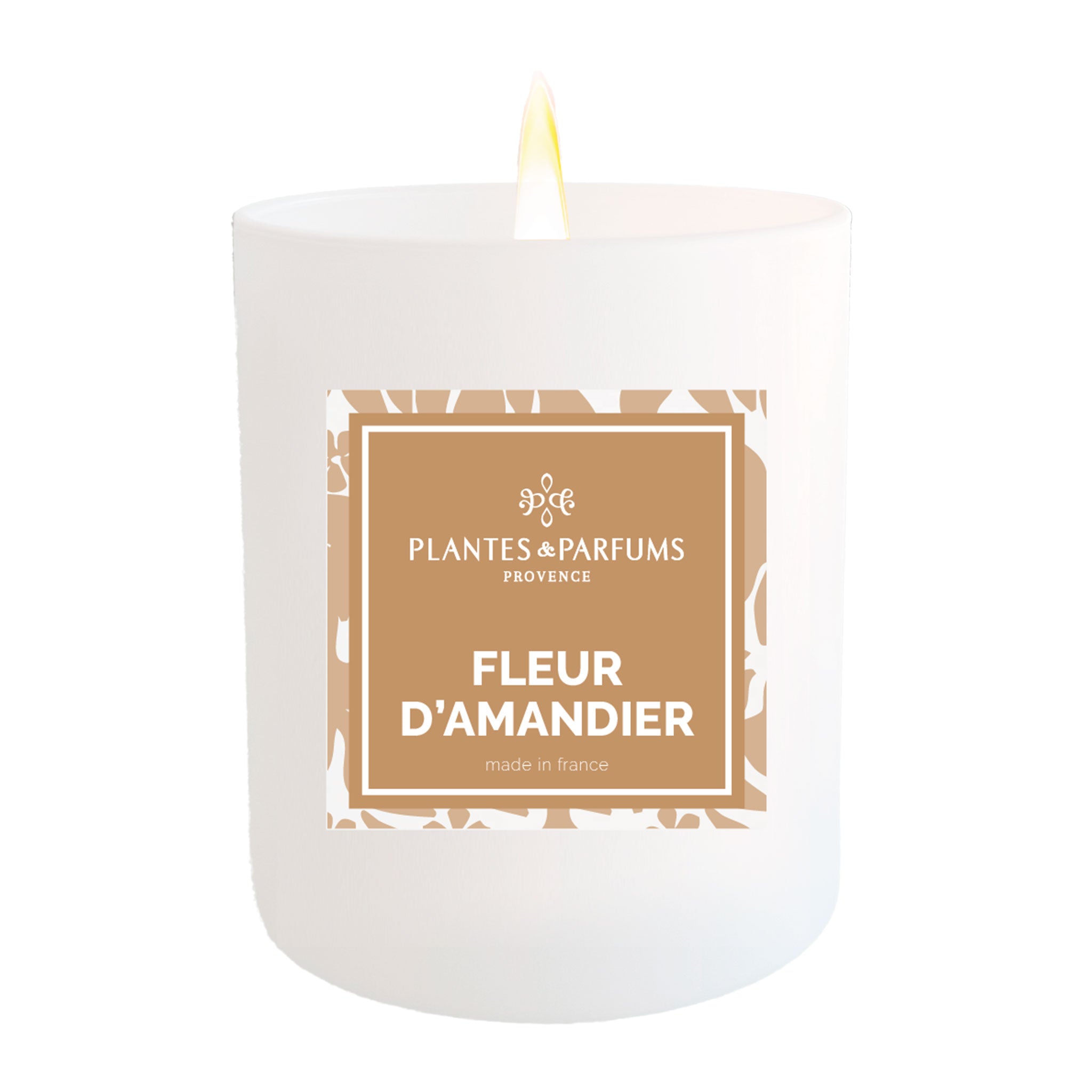  Bougie Fleur d'Amandier